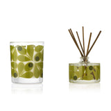 Orla Kiely Acorn Cup Fig Tree Mini Candle & Reed Diffuser Gift Set